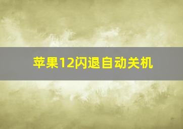 苹果12闪退自动关机