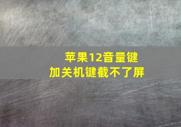 苹果12音量键加关机键截不了屏