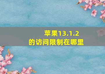 苹果13.1.2的访问限制在哪里