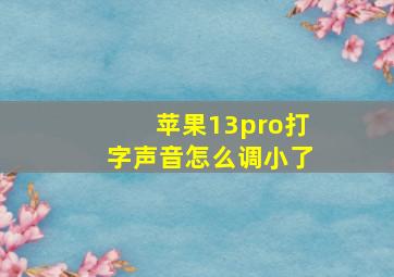 苹果13pro打字声音怎么调小了