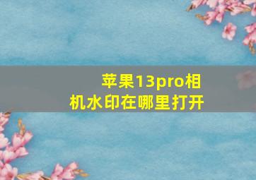 苹果13pro相机水印在哪里打开