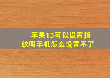 苹果13可以设置指纹吗手机怎么设置不了