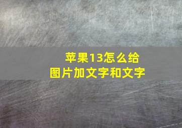 苹果13怎么给图片加文字和文字