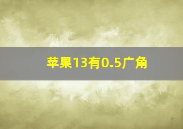 苹果13有0.5广角