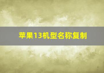 苹果13机型名称复制