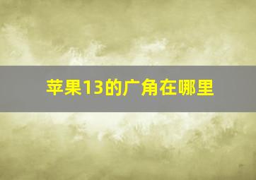 苹果13的广角在哪里