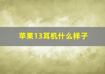 苹果13耳机什么样子