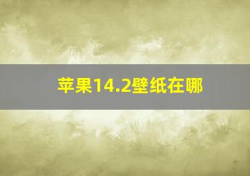 苹果14.2壁纸在哪