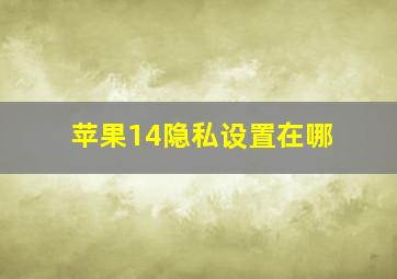 苹果14隐私设置在哪