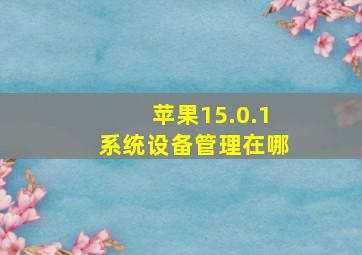 苹果15.0.1系统设备管理在哪