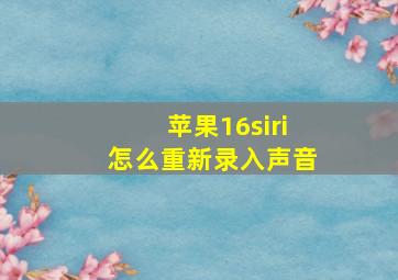 苹果16siri怎么重新录入声音