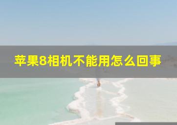 苹果8相机不能用怎么回事