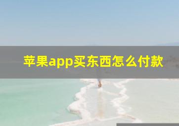 苹果app买东西怎么付款