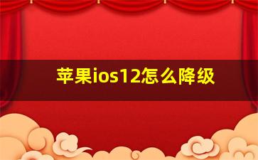 苹果ios12怎么降级