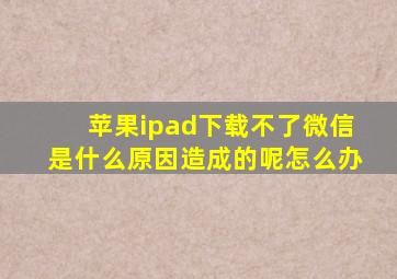 苹果ipad下载不了微信是什么原因造成的呢怎么办