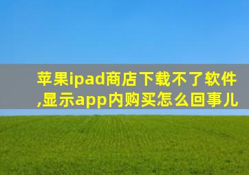 苹果ipad商店下载不了软件,显示app内购买怎么回事儿