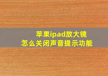 苹果ipad放大镜怎么关闭声音提示功能