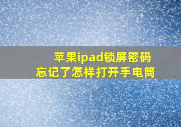 苹果ipad锁屏密码忘记了怎样打开手电筒