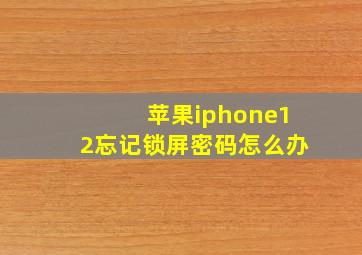 苹果iphone12忘记锁屏密码怎么办