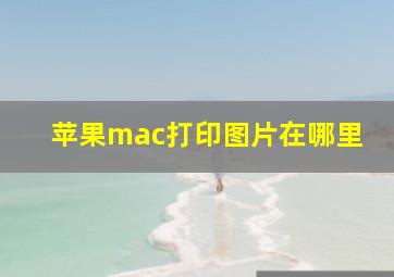 苹果mac打印图片在哪里