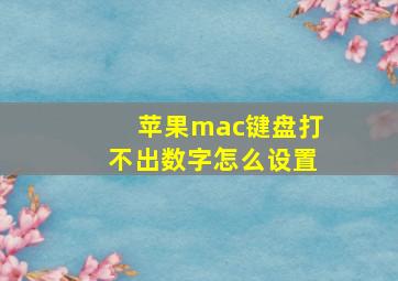 苹果mac键盘打不出数字怎么设置