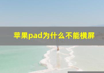 苹果pad为什么不能横屏