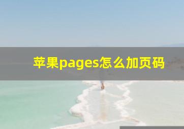 苹果pages怎么加页码