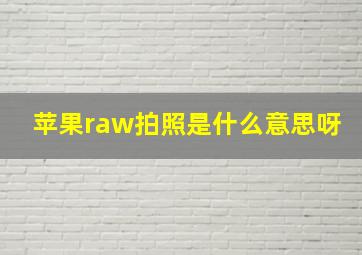 苹果raw拍照是什么意思呀