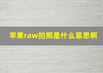 苹果raw拍照是什么意思啊