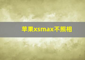 苹果xsmax不照相