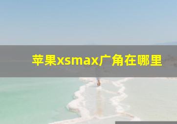 苹果xsmax广角在哪里