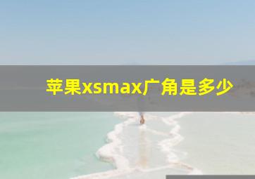 苹果xsmax广角是多少