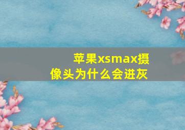 苹果xsmax摄像头为什么会进灰