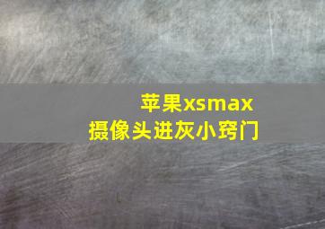 苹果xsmax摄像头进灰小窍门