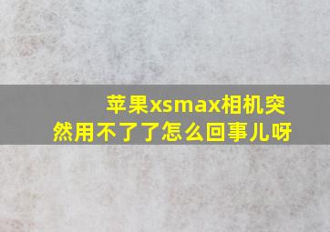 苹果xsmax相机突然用不了了怎么回事儿呀