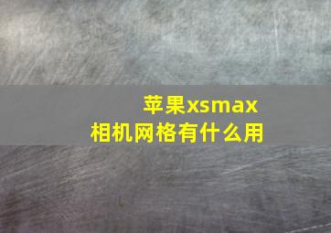 苹果xsmax相机网格有什么用