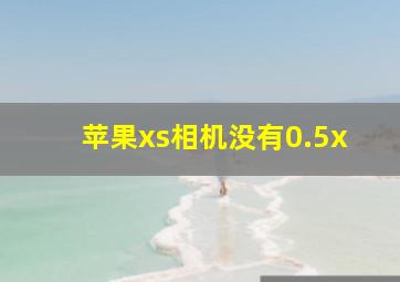 苹果xs相机没有0.5x