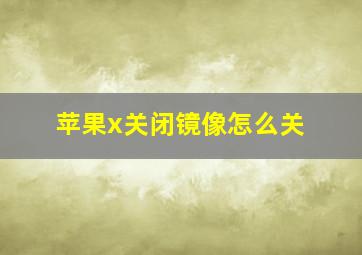 苹果x关闭镜像怎么关