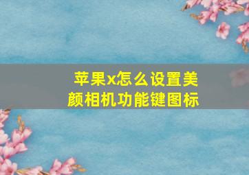 苹果x怎么设置美颜相机功能键图标