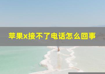 苹果x接不了电话怎么回事