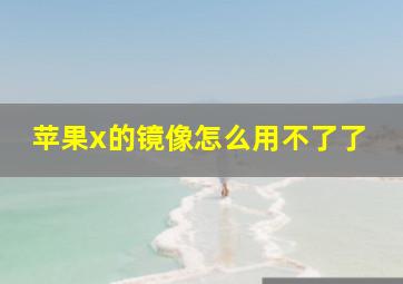 苹果x的镜像怎么用不了了