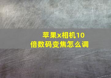 苹果x相机10倍数码变焦怎么调