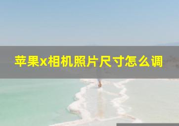 苹果x相机照片尺寸怎么调