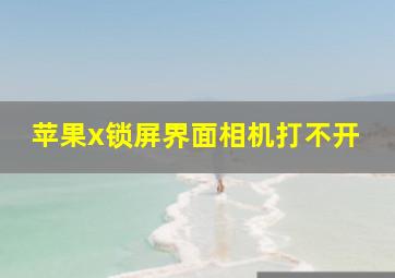 苹果x锁屏界面相机打不开