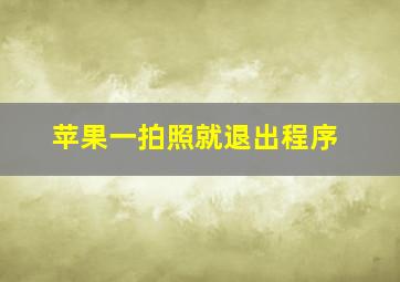 苹果一拍照就退出程序