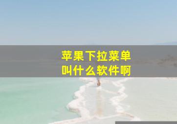 苹果下拉菜单叫什么软件啊