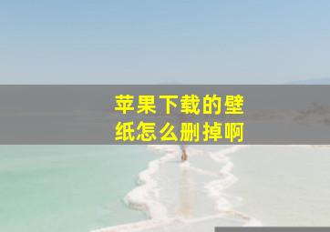 苹果下载的壁纸怎么删掉啊