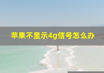 苹果不显示4g信号怎么办