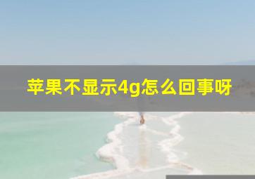 苹果不显示4g怎么回事呀