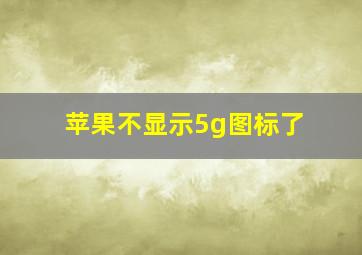 苹果不显示5g图标了